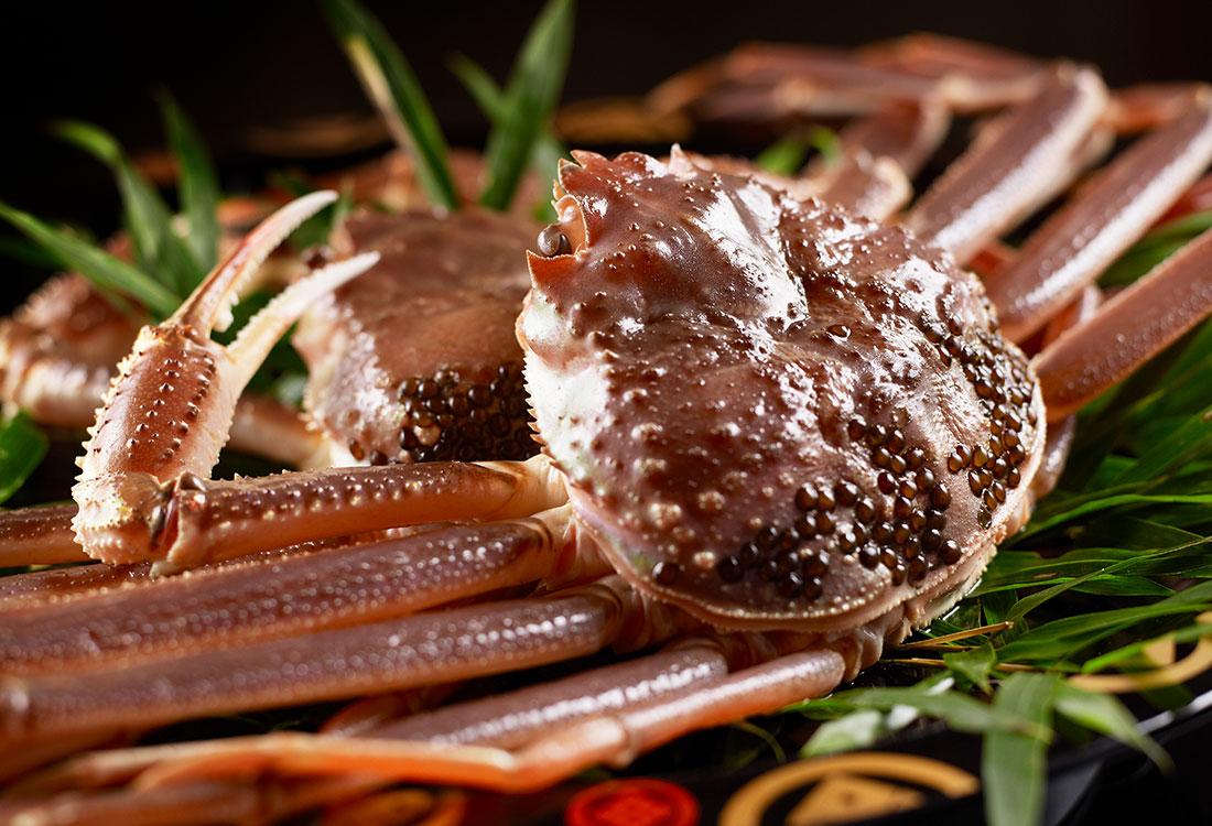 Photo: Matsuba Crab