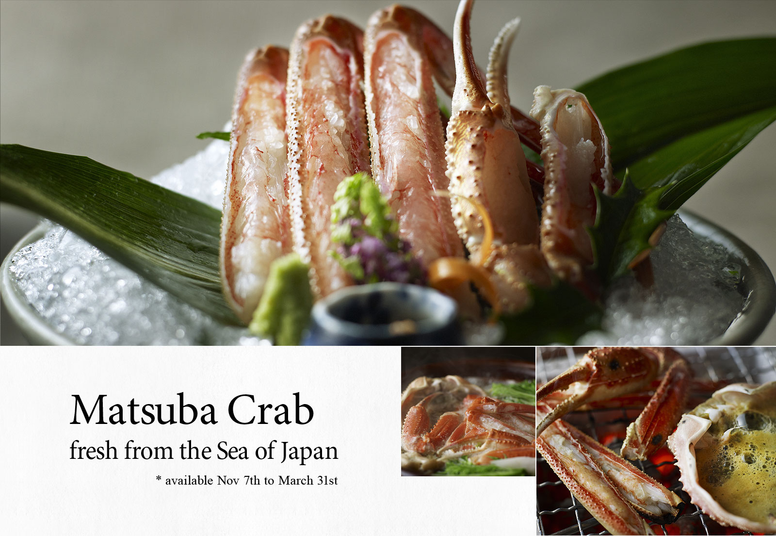 Matsuba Crab fresh from the Sea of Japan