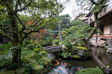 写真：日本庭園