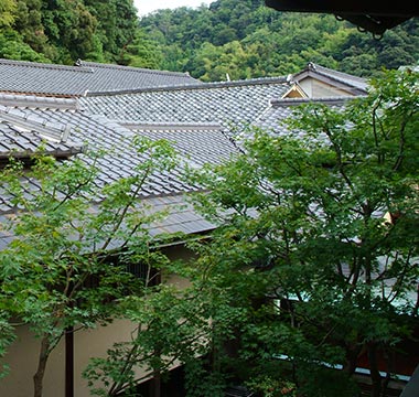 写真：平田館の自然