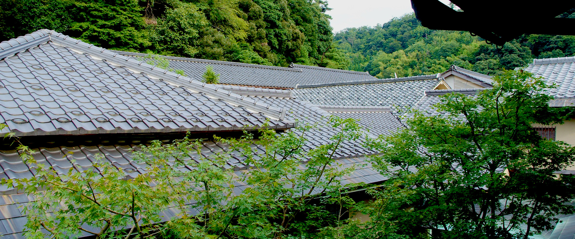 写真:蓬莱