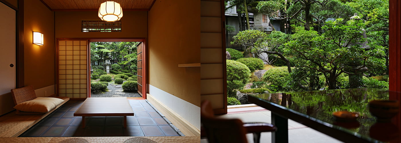 写真：梅
