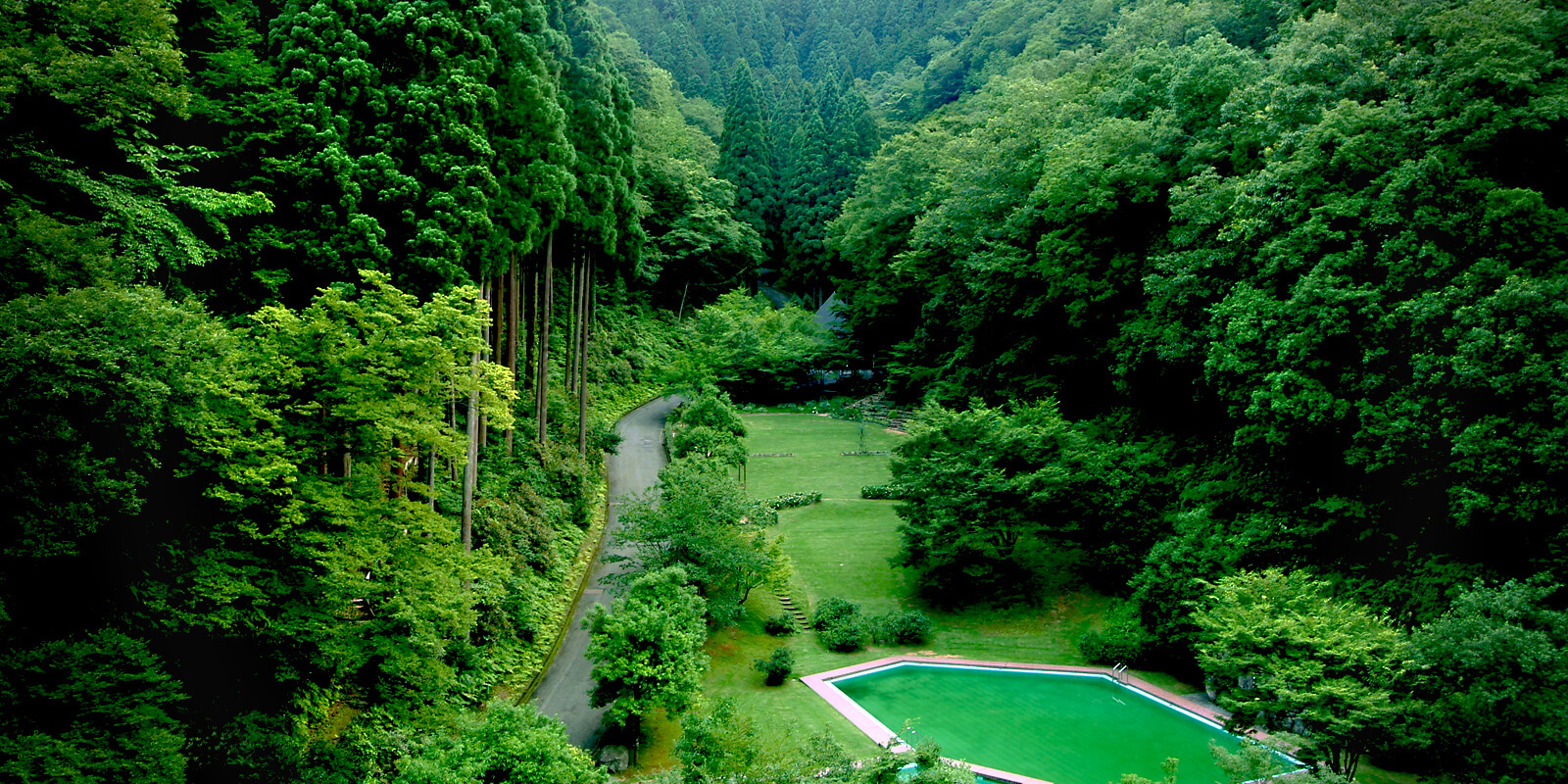 Mountain Forest & Japanese Garden