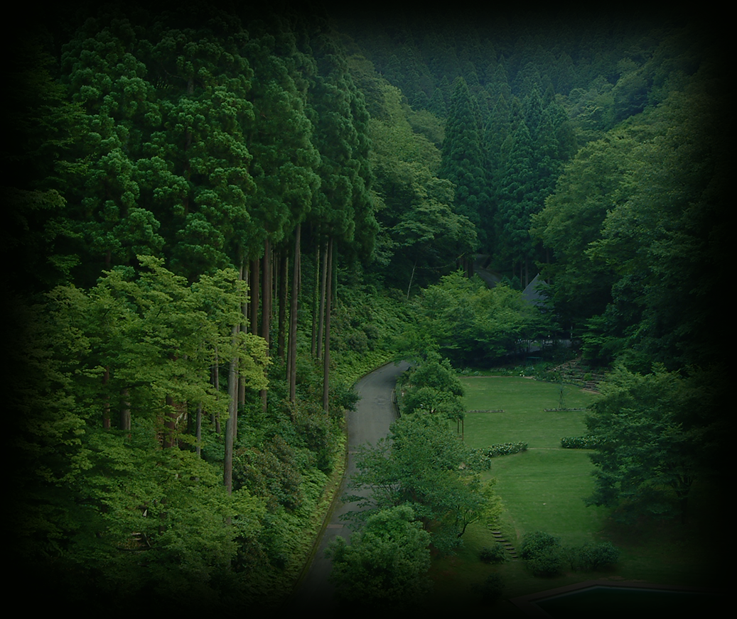 背景