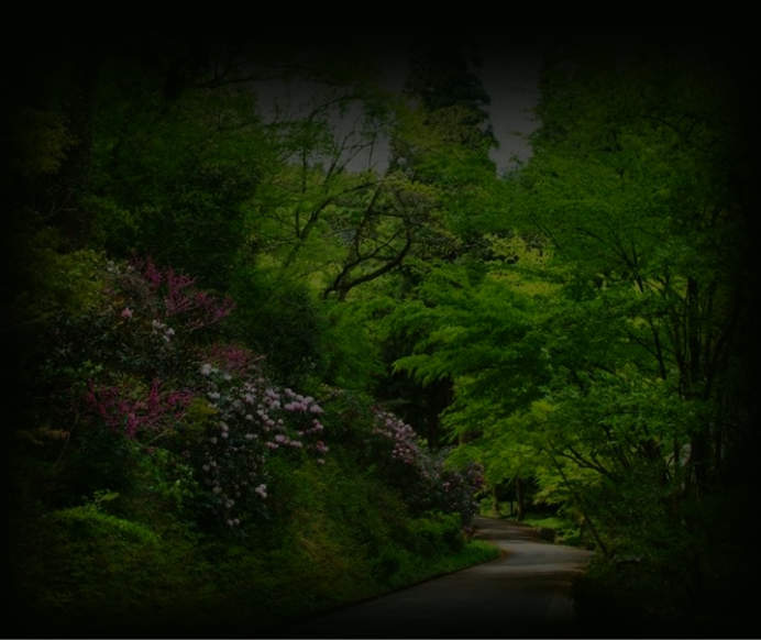 背景
