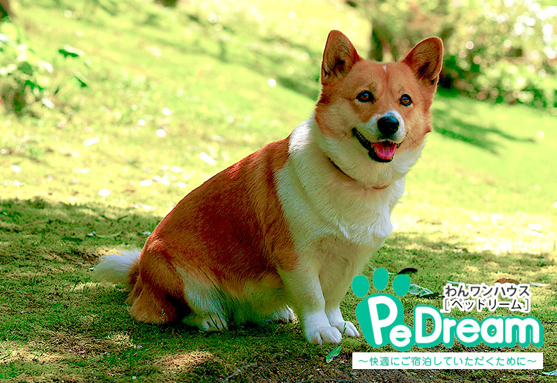 旅の一夜を、趣あるお部屋でゆったりと