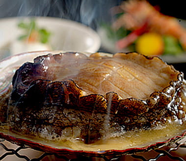 お料理重視プラン