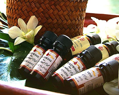 B:フットリフレ&プチハンド